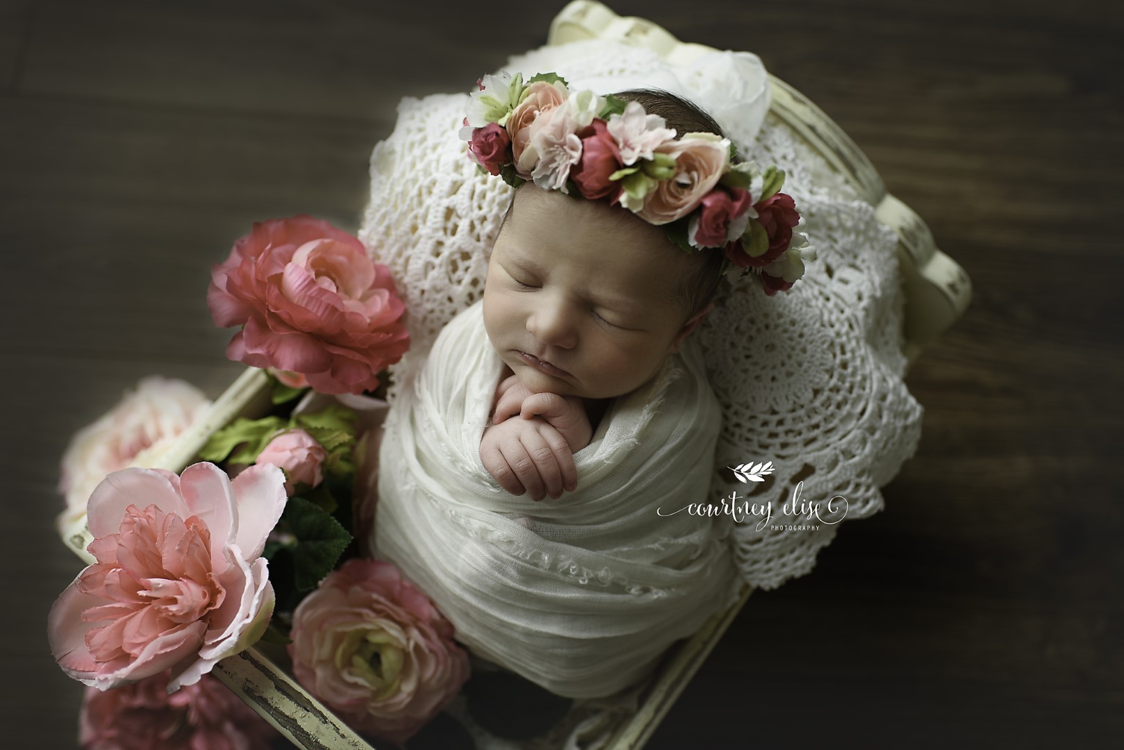 north georgia newborn photography