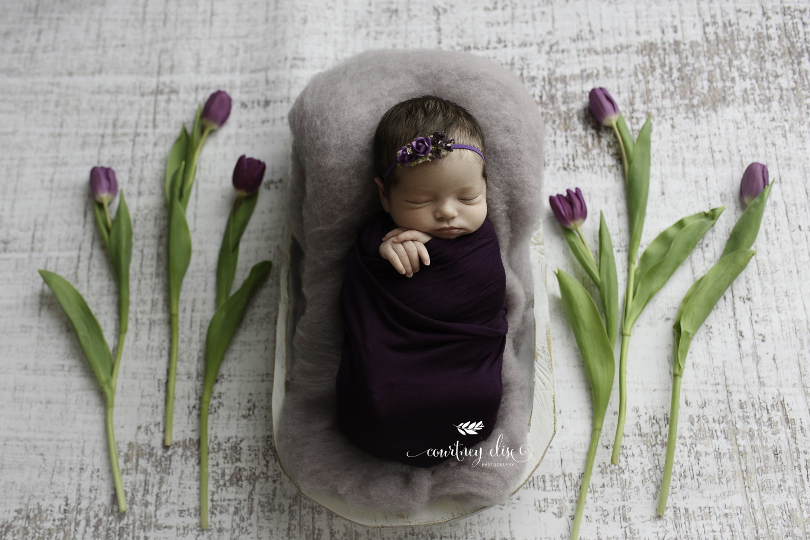 Newborn Studio Session: Canton, GA