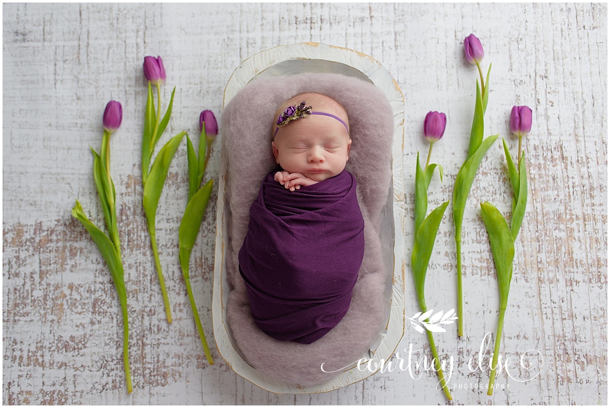 Sophia - Canton, Georgia Newborn Photography Session