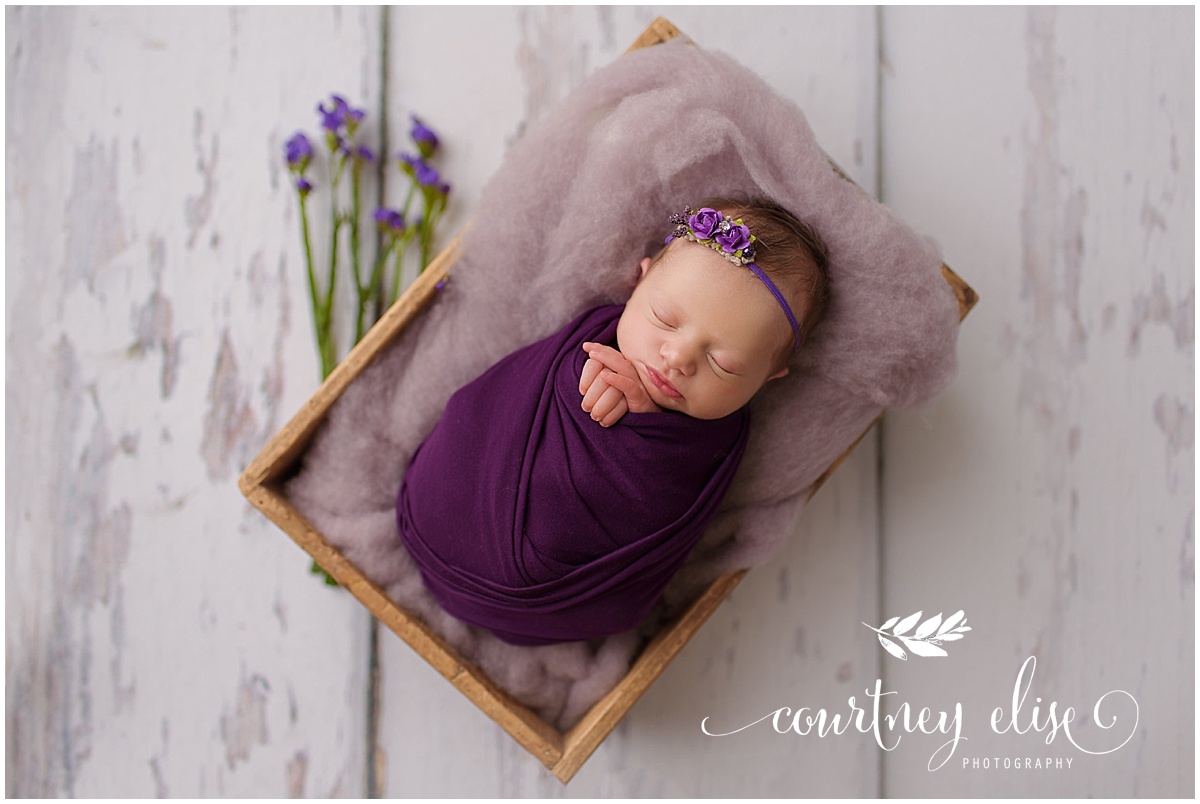 Newborn Photography Milton, GA