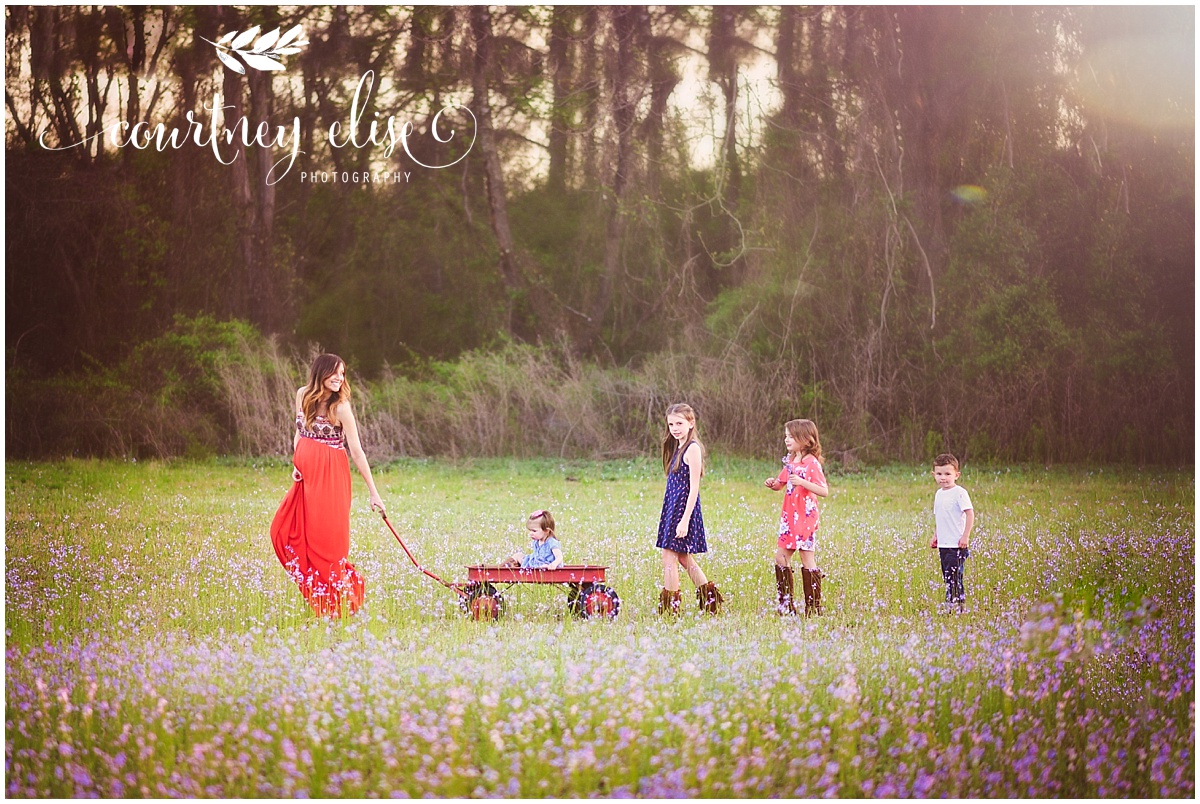 Newborn, Maternity, and Family Photographer Canton, GA