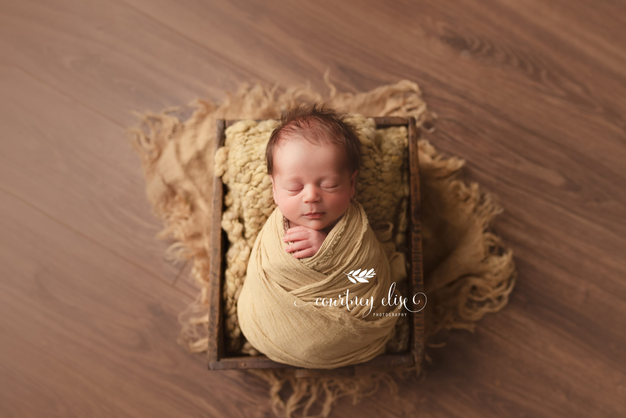 Cumming Georgia Newborn Photo Session